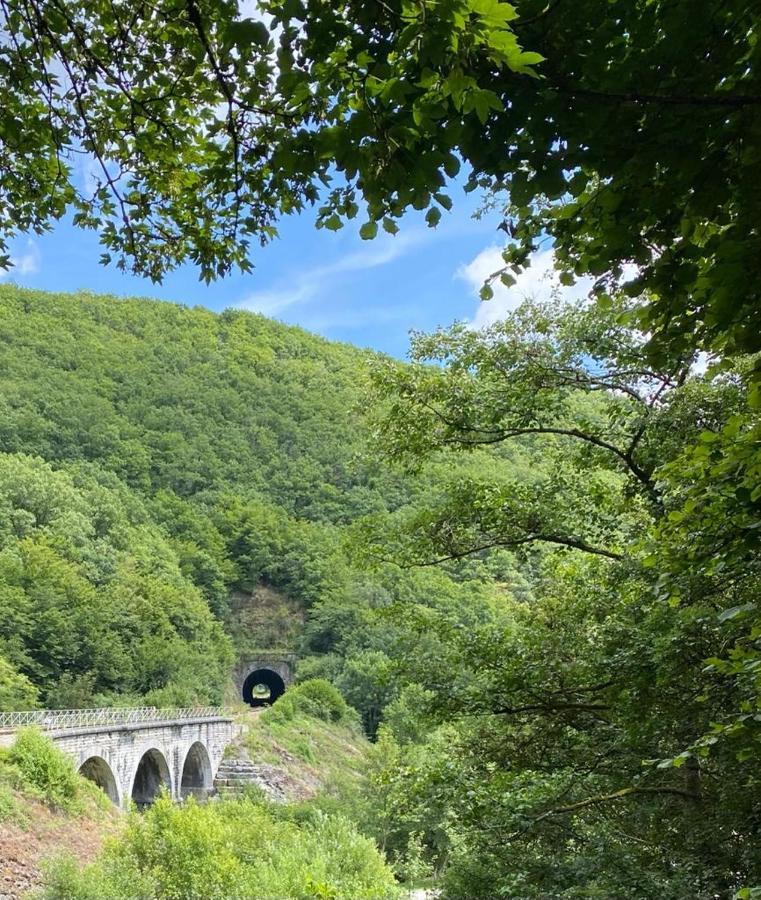 Cocooning Near Dinant 300M From River Meuse 블라이몽트 외부 사진